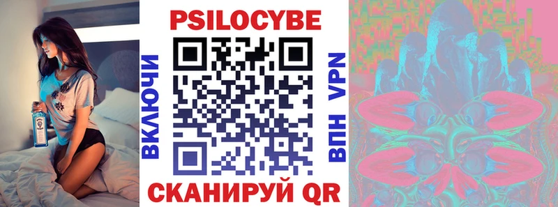 Купить где  Дно  Псилоцибиновые грибы GOLDEN TEACHER 